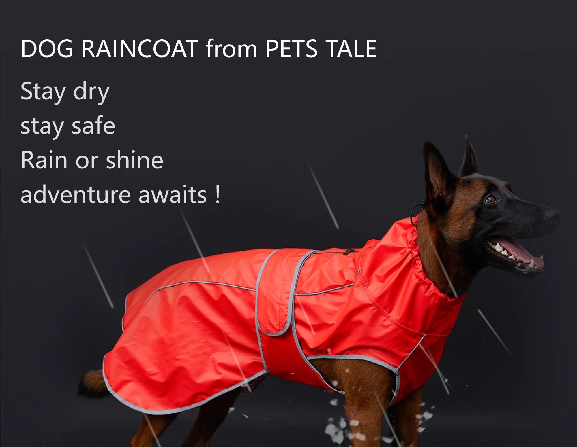 Dog Jacket Gear: Waterproof Raincoat with Reflective Strips and Adjustable Hood / Rungear