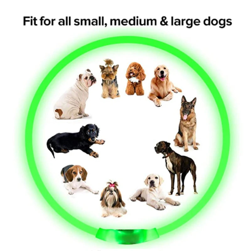 Pet Safety Gear: USB, Adjustable LED Rechargeable Safety Collar For Large Small Dogs / Rungear
