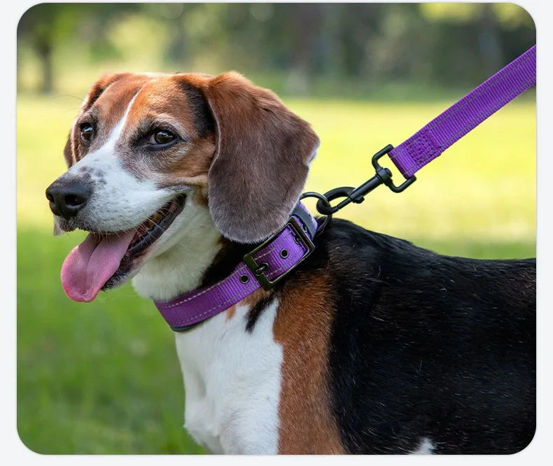 Reflective Dog Collars: Reflective, Adjustable, Heavy Duty Nylon Neoprene, Wide Padded Dog Collars for Small, Medium, Large Dogs / Rungear