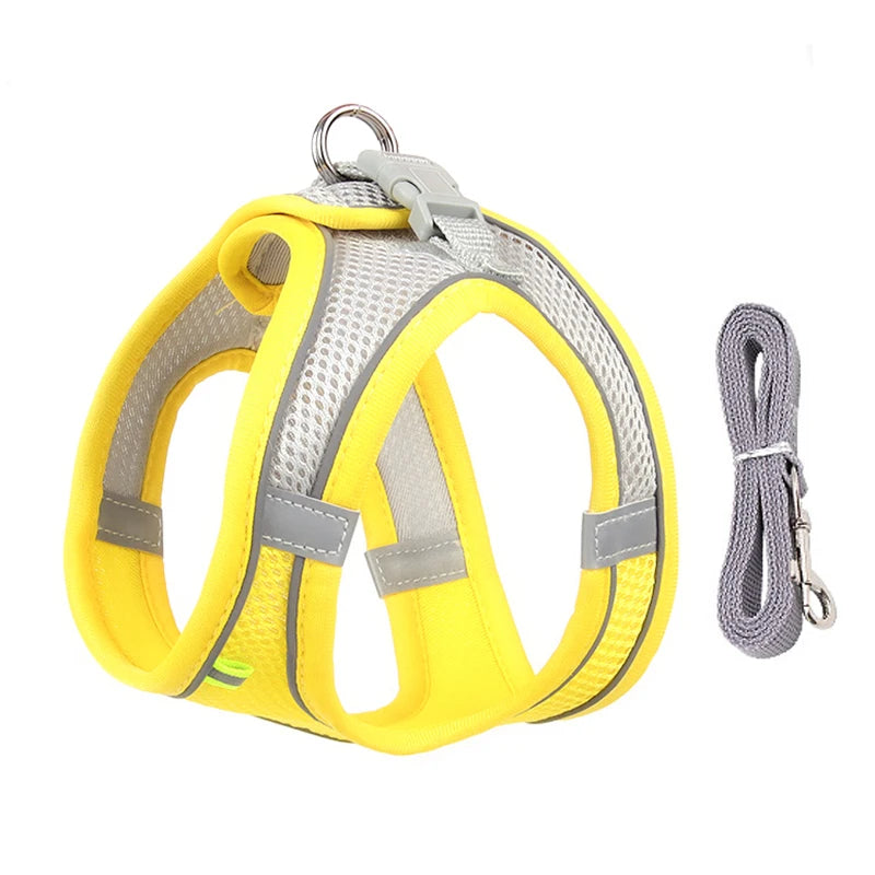 Adjustable Dog Harness Leash Set for Small Dogs