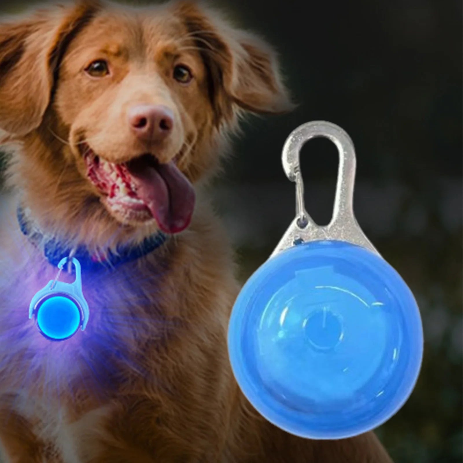 Dog Gear Accessories: LED Glow Dog Collar Pendant Light Up for Night Safety Walking / Rungear