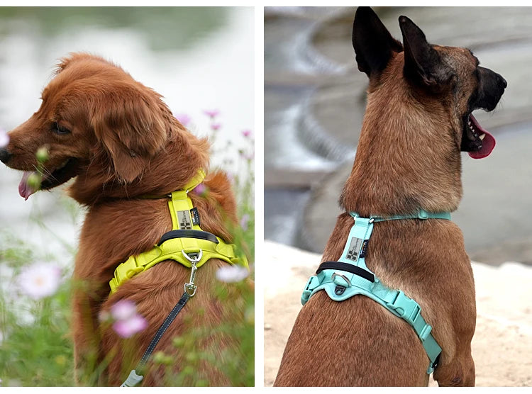 Dog Gear Accessories: SMALL COMBINATION No Pull, Nylon, Adjustable, Reflective, Comfortable, Dog Control Harness / Rungear