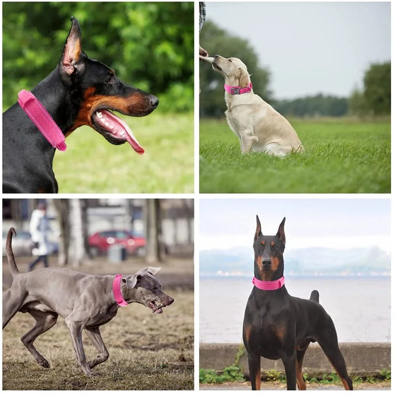 Reflective Dog Collars: Adjustable, Reflective, Quick Release, Nylon Training Dog Collar With Handle / Rungear