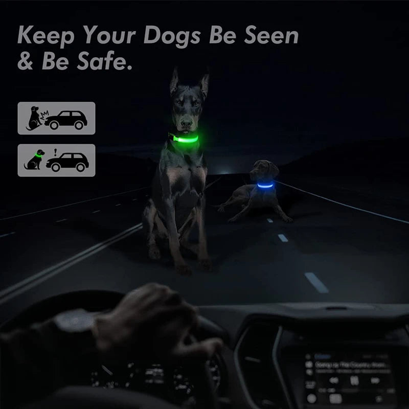 Pet Safety Gear: USB, Adjustable LED Rechargeable Safety Collar For Large Small Dogs / Rungear