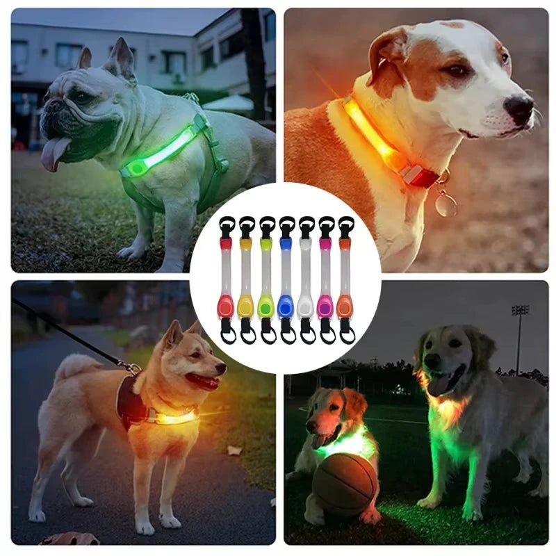 Dog LED Accessories: Night Running, Safety, Multi-Colour, Waterproof, Dog Safety Harness Flashing Collar Pendant / Rungear