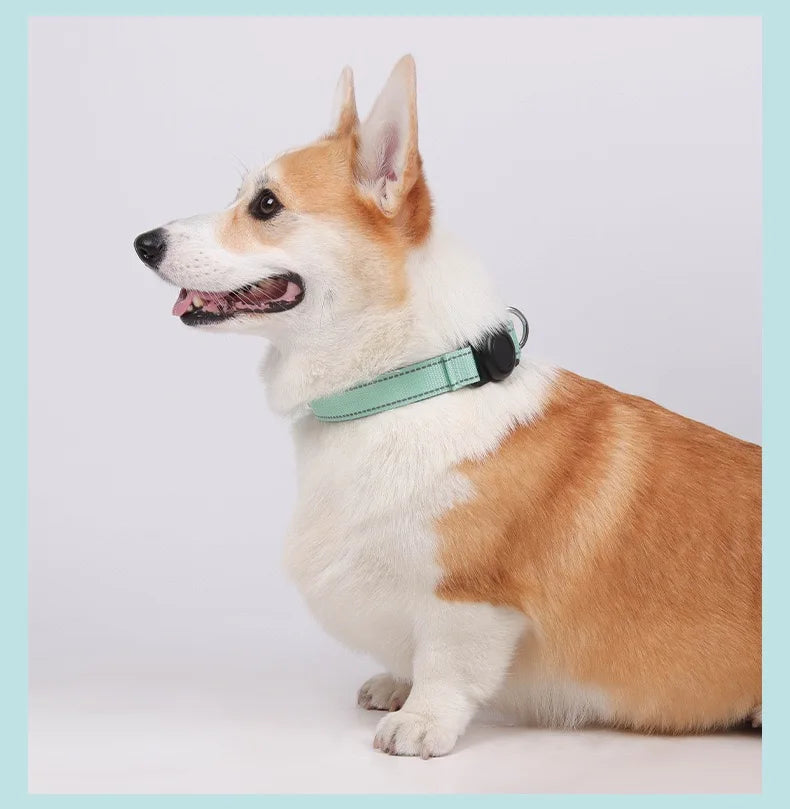 Reflective Adjustable AirTag Pet Collar with Buckle for Medium Dogs