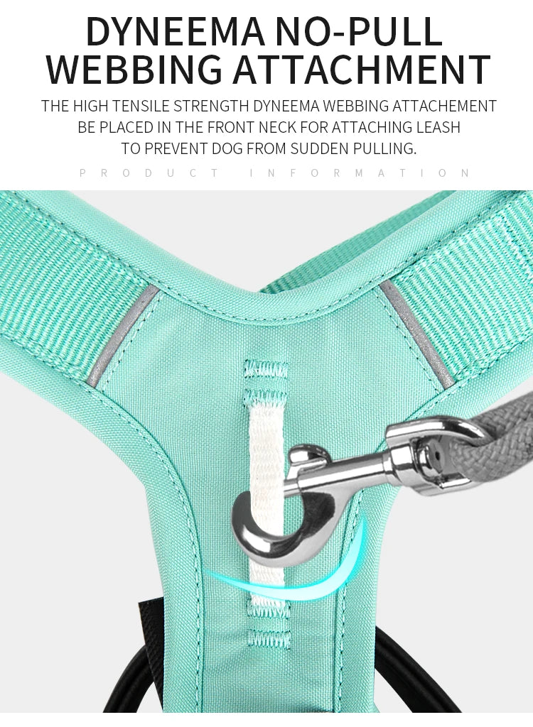 Dog Gear Accessories: SMALL COMBINATION No Pull, Nylon, Adjustable, Reflective, Comfortable, Dog Control Harness / Rungear