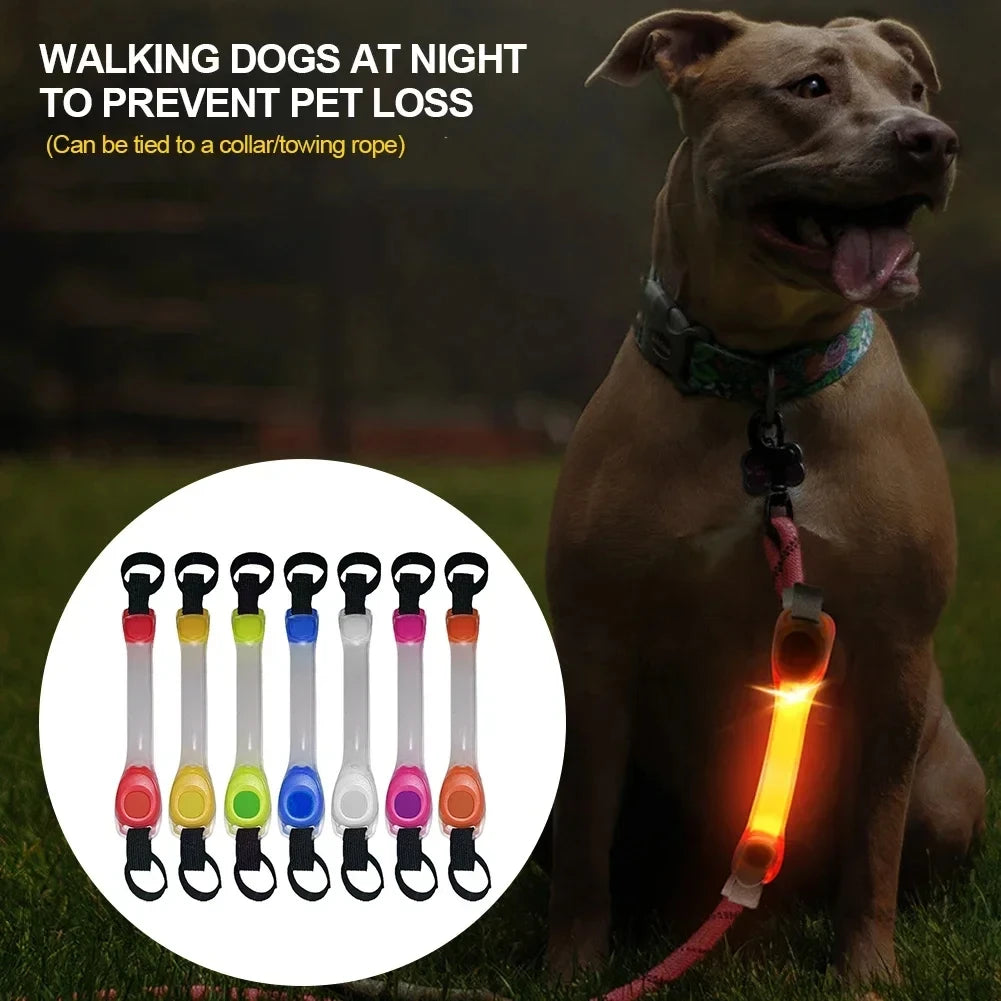 Dog LED Accessories: Night Running, Safety, Multi-Colour, Waterproof, Dog Safety Harness Flashing Collar Pendant / Rungear